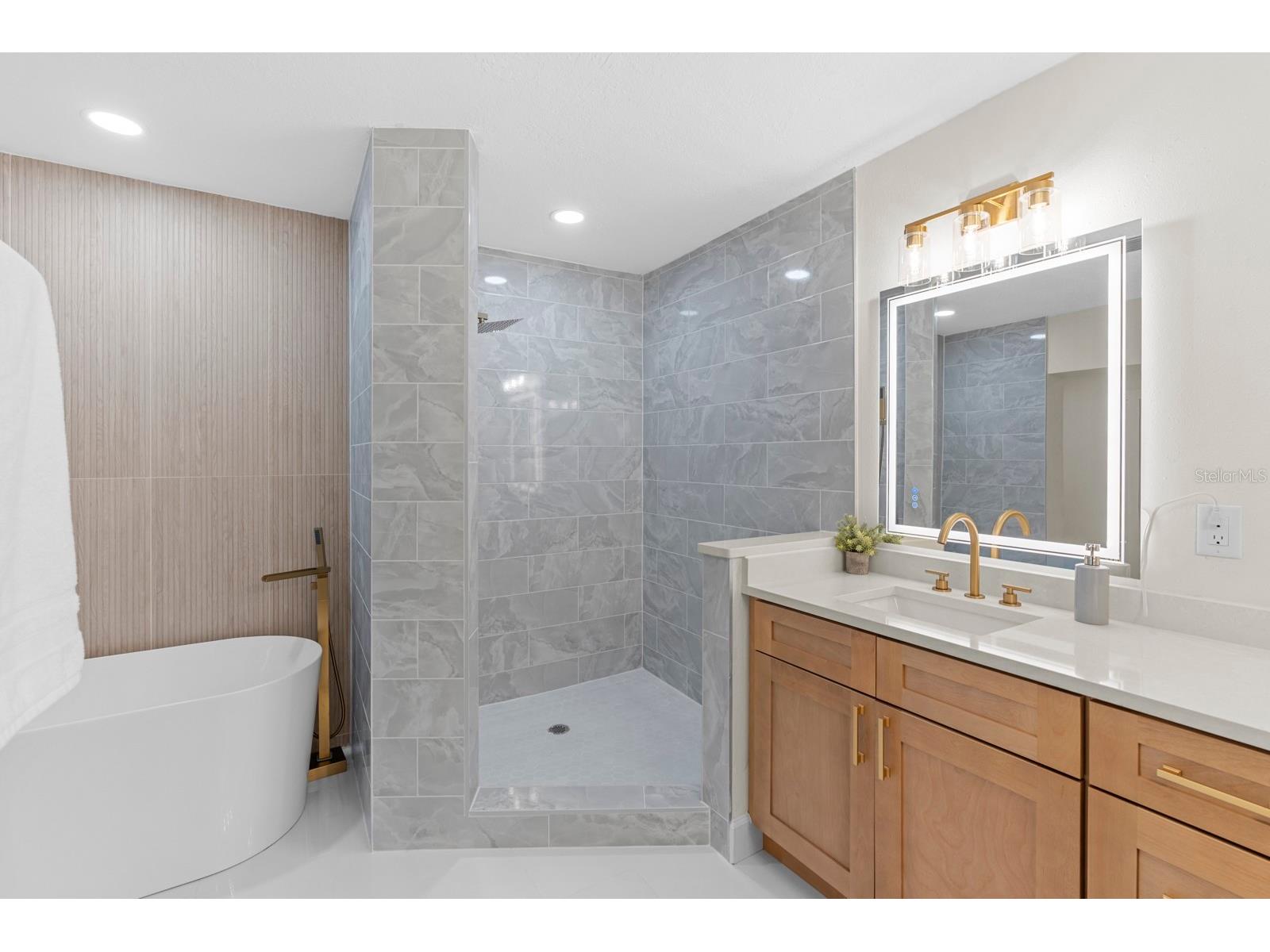 4631 W Sunset Boulevard Tampa FL 33629 TB8434581 image29