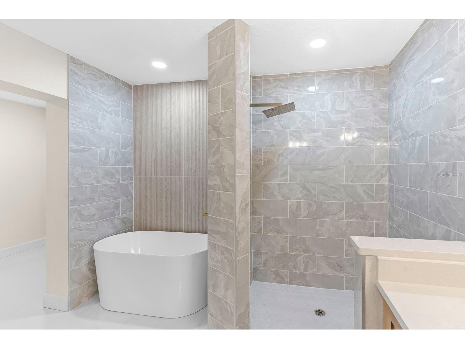 4631 W Sunset Boulevard Tampa FL 33629 TB8434581 image31