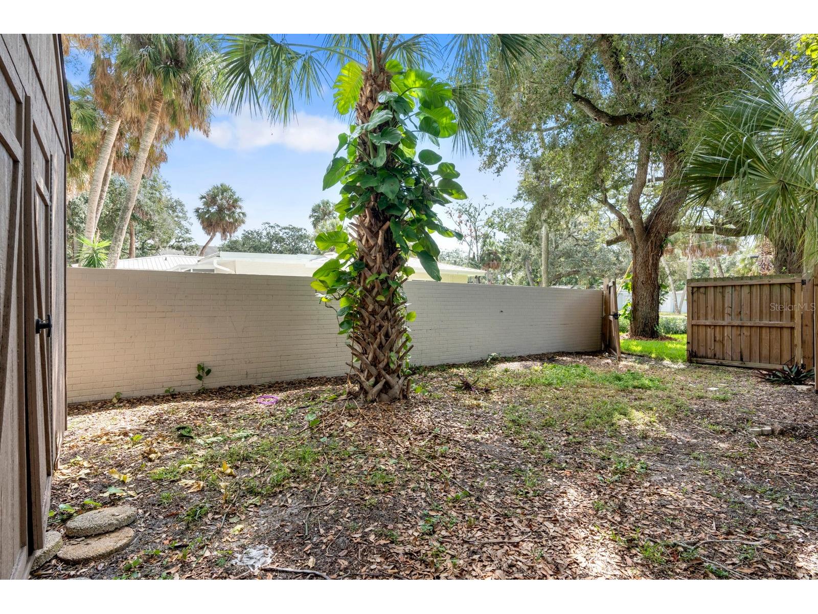 4631 W Sunset Boulevard Tampa FL 33629 TB8434581 image62