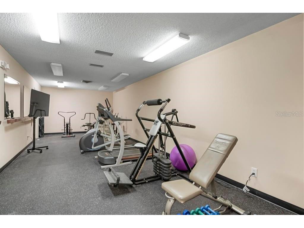 4632 Red Maple Road #1204 Bradenton FL 34210 A4672558 image36