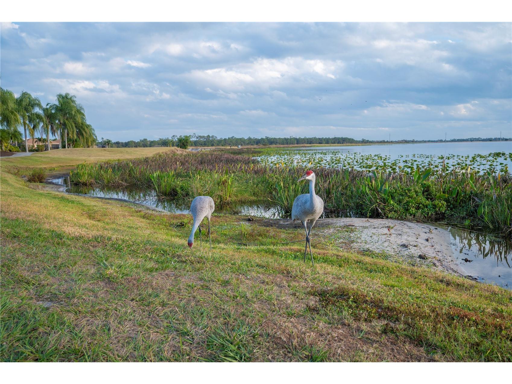 4632 Turnberry Lane Lake Wales FL 33859 L4958817 image41