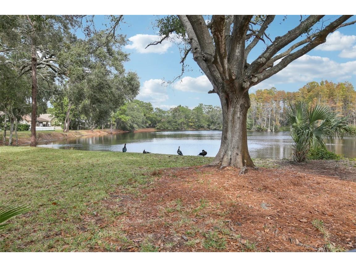 4632 Whispering Park Lane Tampa FL 33614 TB8451667 image35