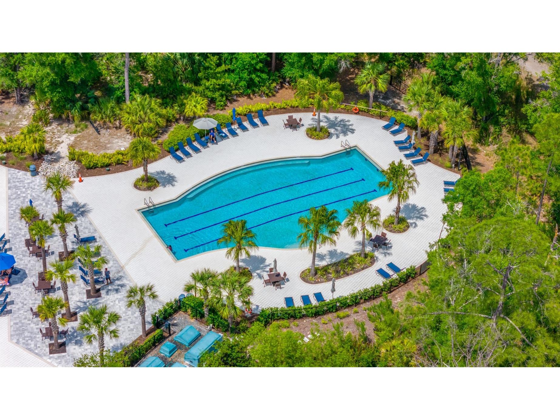 4633 Ballantrae Boulevard Land O Lakes FL 34638 TB8461617 image43