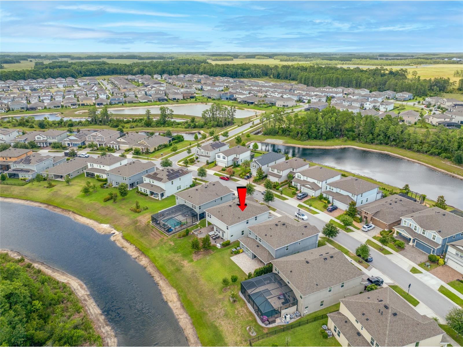 4633 Ballantrae Boulevard Land O Lakes FL 34638 TB8461617 image67