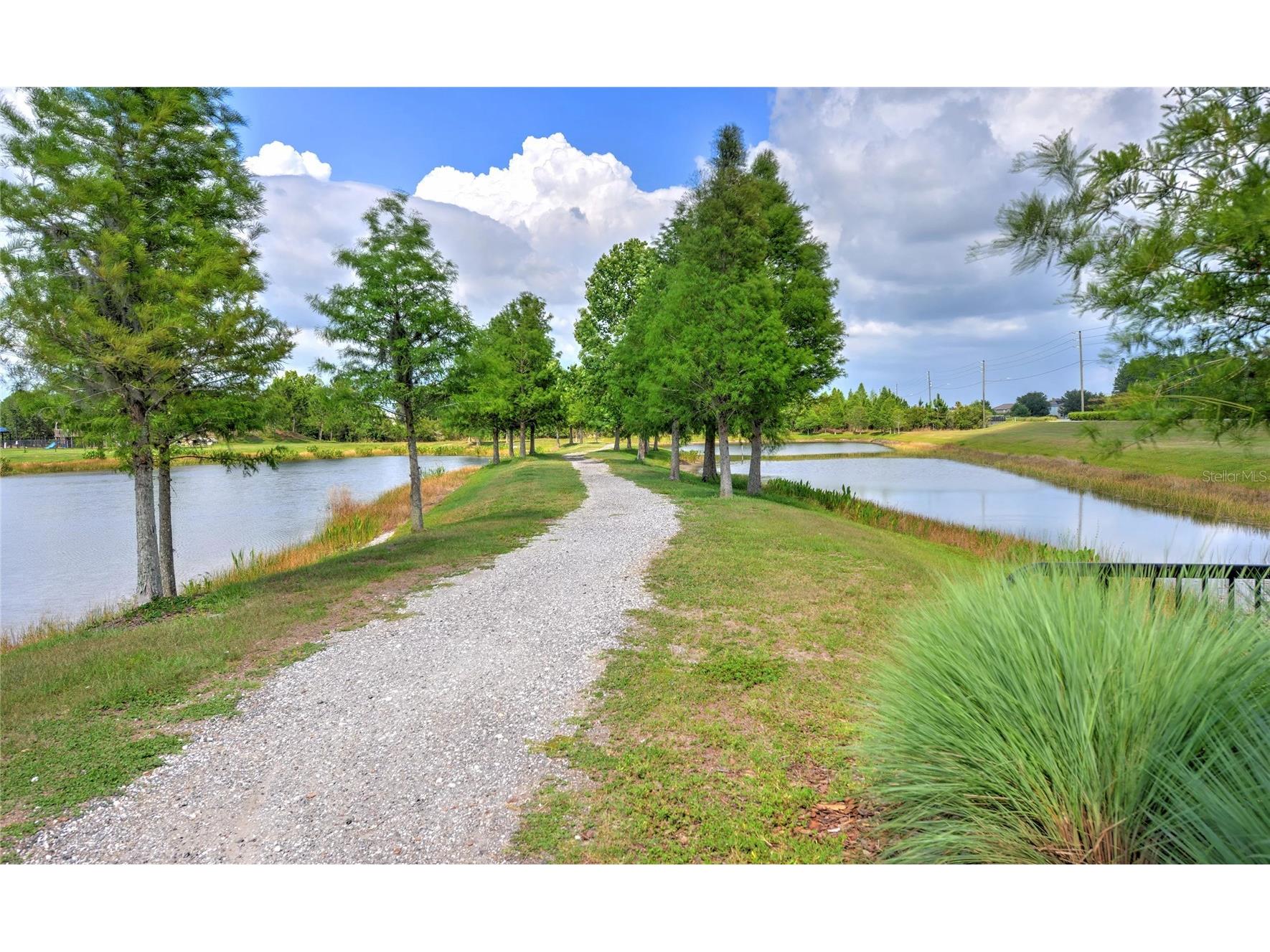 4633 Ballantrae Boulevard Land O Lakes FL 34638 TB8461617 image74