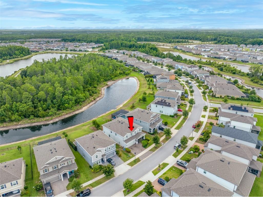 4633 Ballantrae Boulevard Land O Lakes FL 34638 TB8461617 image99