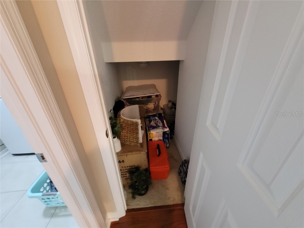 4633 White Bay Circle Wesley Chapel FL 33545 TB8380185 image14