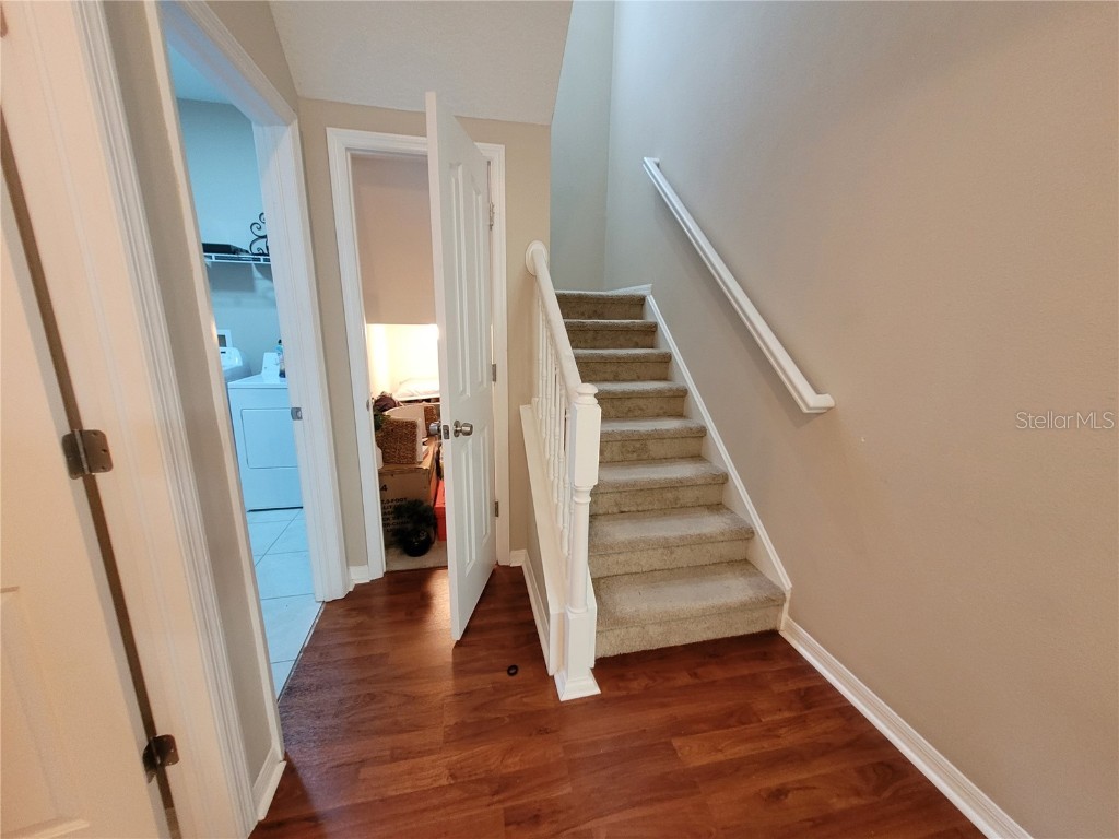 4633 White Bay Circle Wesley Chapel FL 33545 TB8380185 image15