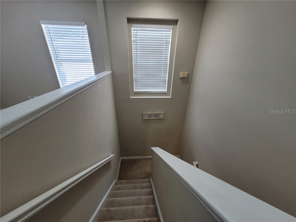 4633 White Bay Circle Wesley Chapel FL 33545 TB8380185 image22