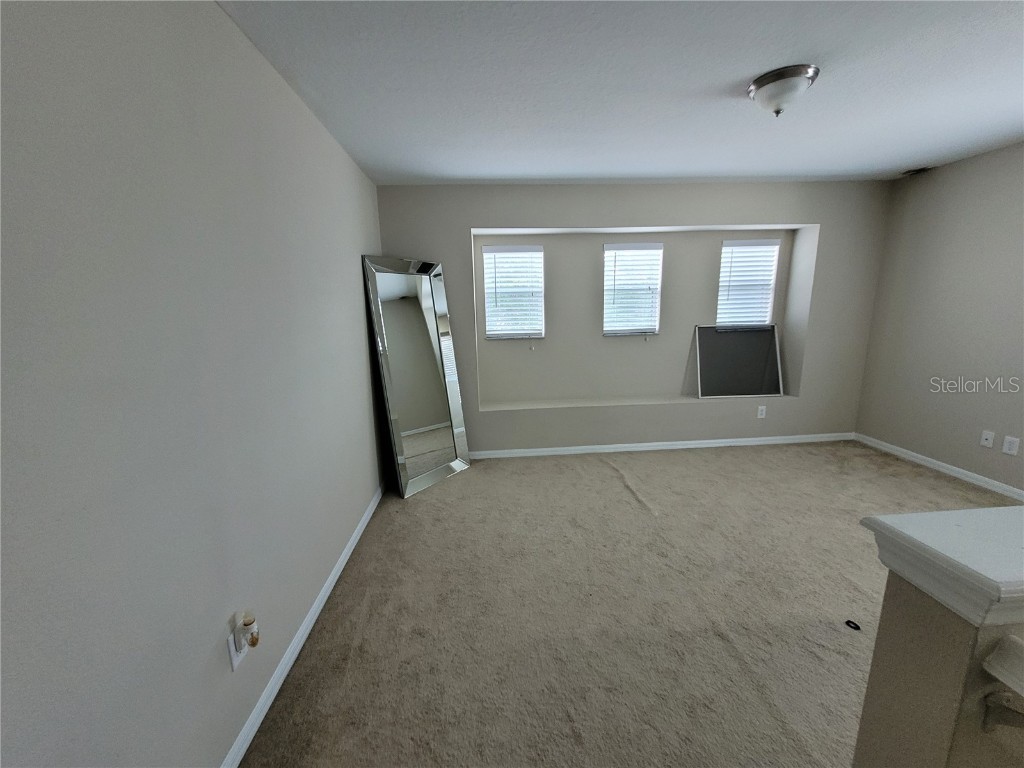 4633 White Bay Circle Wesley Chapel FL 33545 TB8380185 image25