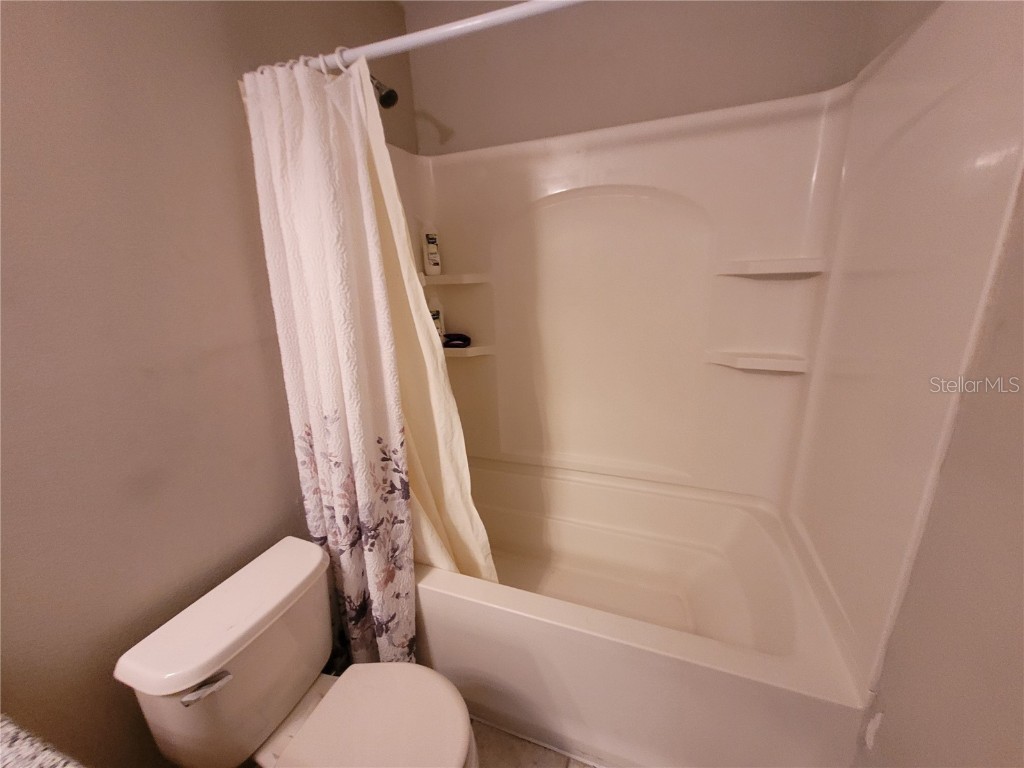 4633 White Bay Circle Wesley Chapel FL 33545 TB8380185 image26