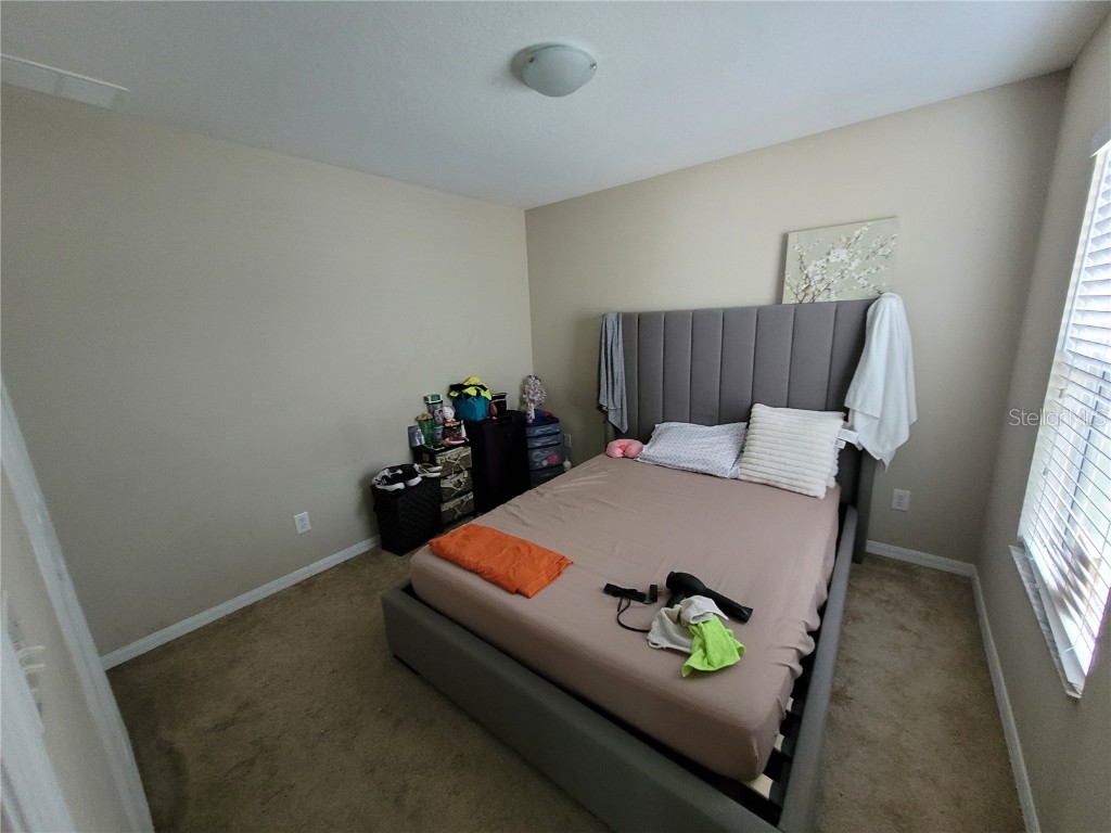 4633 White Bay Circle Wesley Chapel FL 33545 TB8380185 image28