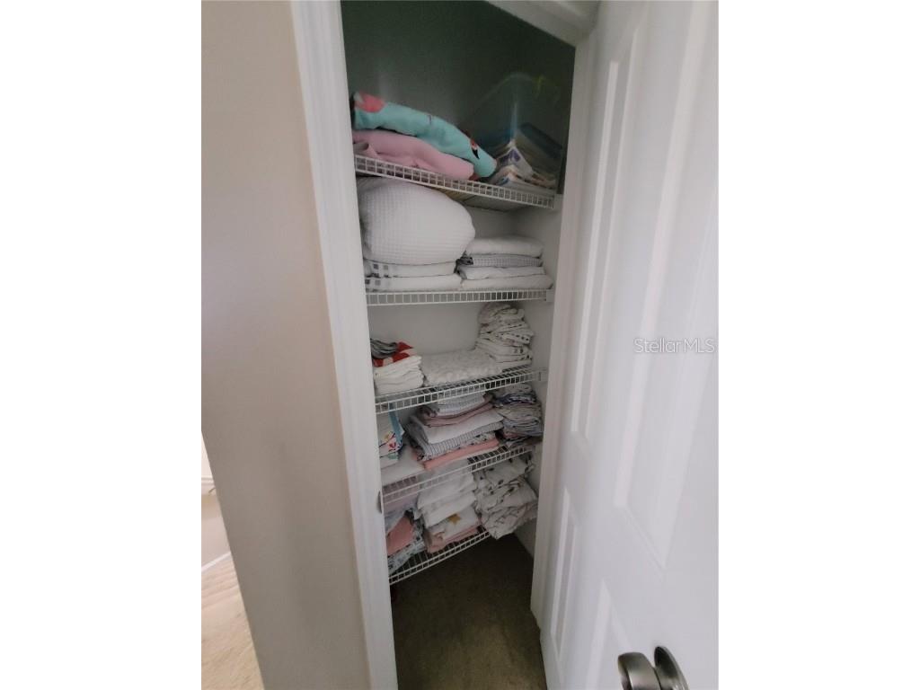 4633 White Bay Circle Wesley Chapel FL 33545 TB8380185 image31