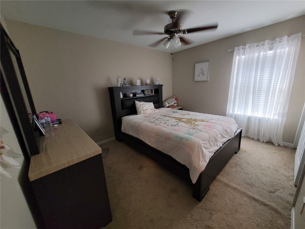 4633 White Bay Circle Wesley Chapel FL 33545 TB8380185 image32