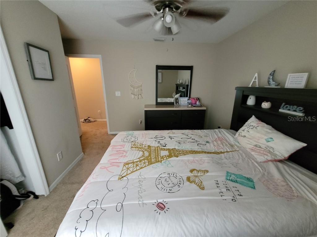 4633 White Bay Circle Wesley Chapel FL 33545 TB8380185 image33