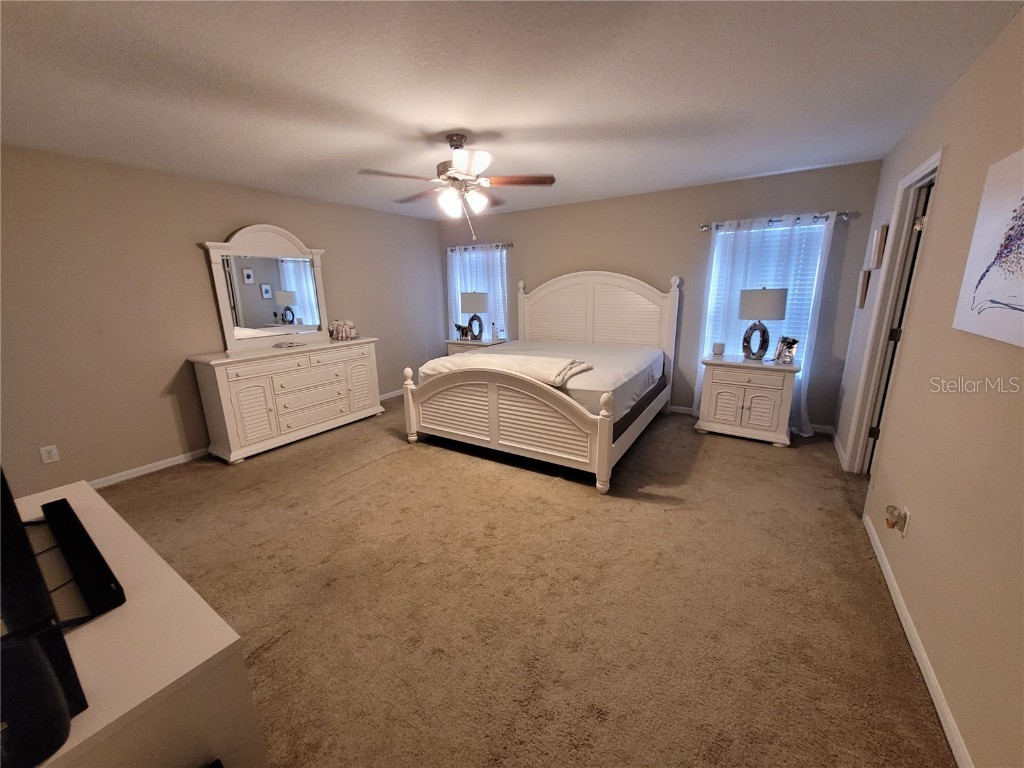 4633 White Bay Circle Wesley Chapel FL 33545 TB8380185 image34