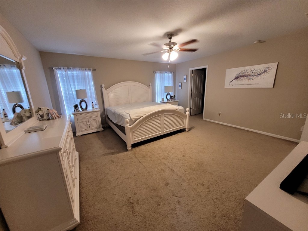 4633 White Bay Circle Wesley Chapel FL 33545 TB8380185 image35