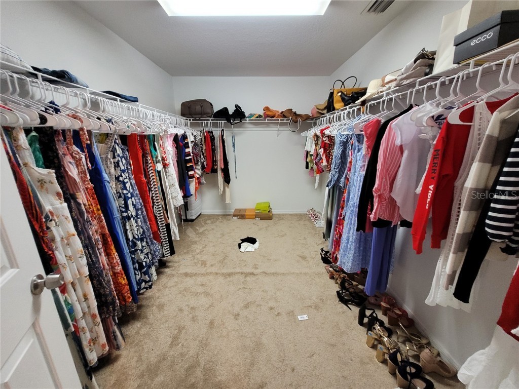 4633 White Bay Circle Wesley Chapel FL 33545 TB8380185 image36