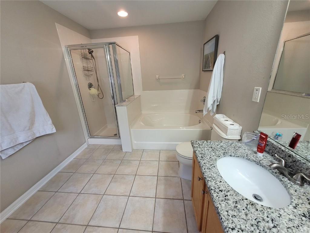 4633 White Bay Circle Wesley Chapel FL 33545 TB8380185 image38