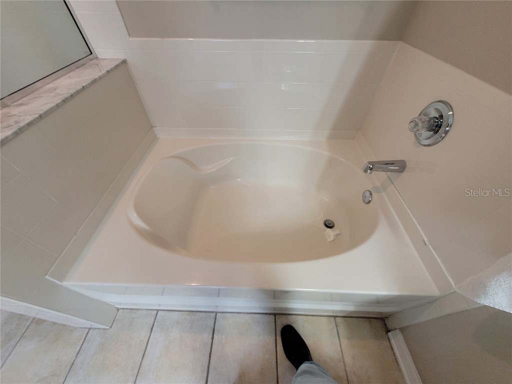 4633 White Bay Circle Wesley Chapel FL 33545 TB8380185 image39