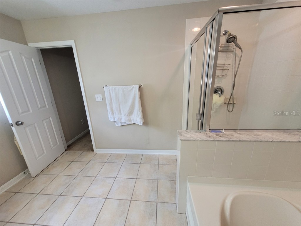 4633 White Bay Circle Wesley Chapel FL 33545 TB8380185 image40