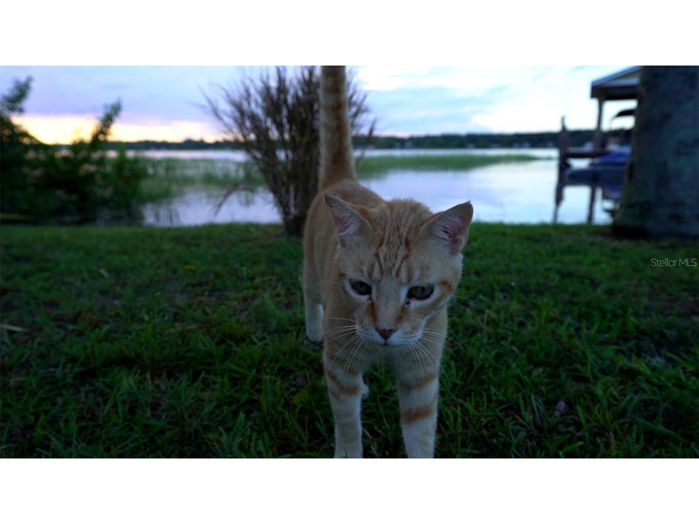 4634 Bigler Lane Mount Dora FL 32757 - LAKE OLA G5097856 image91