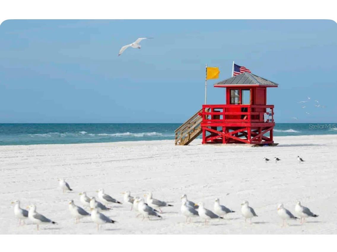 4634 Mcintosh Road Sarasota FL 34233 A4654417 image18