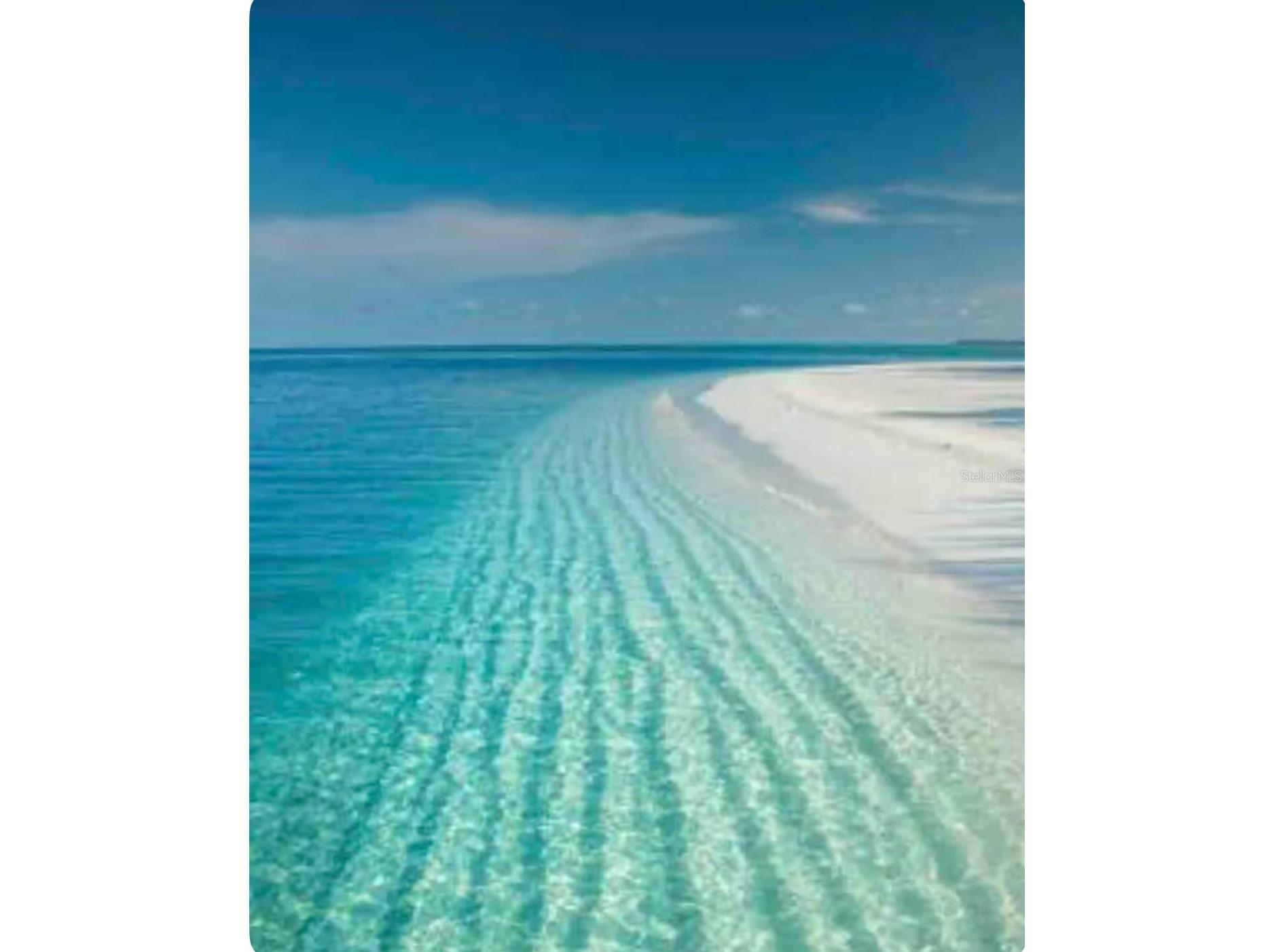 4634 Mcintosh Road Sarasota FL 34233 A4654417 image19