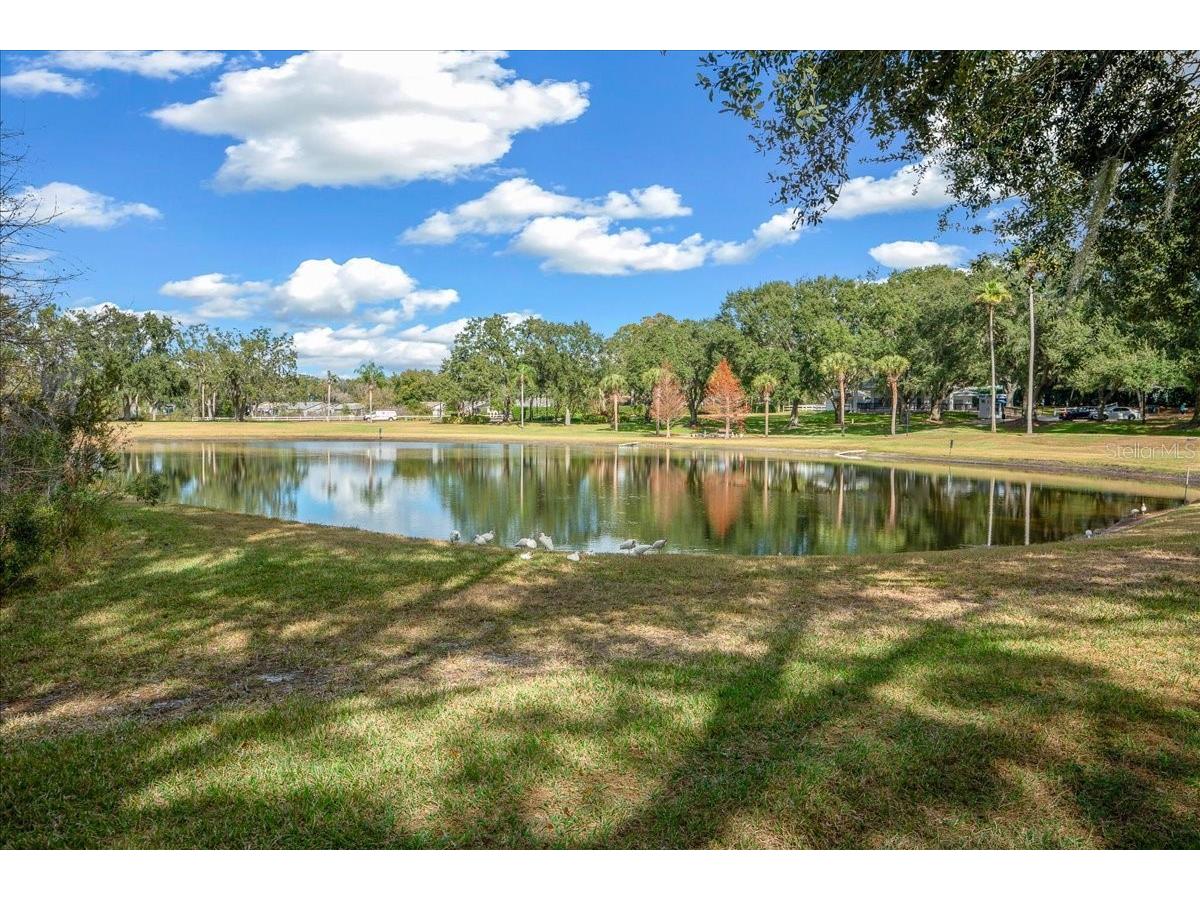 4634 Summerbridge Circle Leesburg FL 34748 G5106466 image78