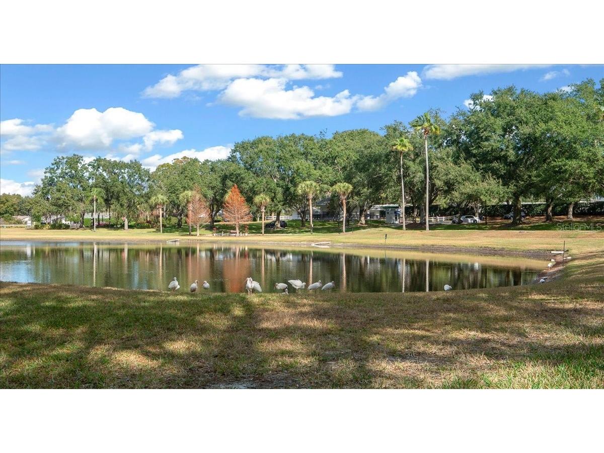 4634 Summerbridge Circle Leesburg FL 34748 G5106466 image79