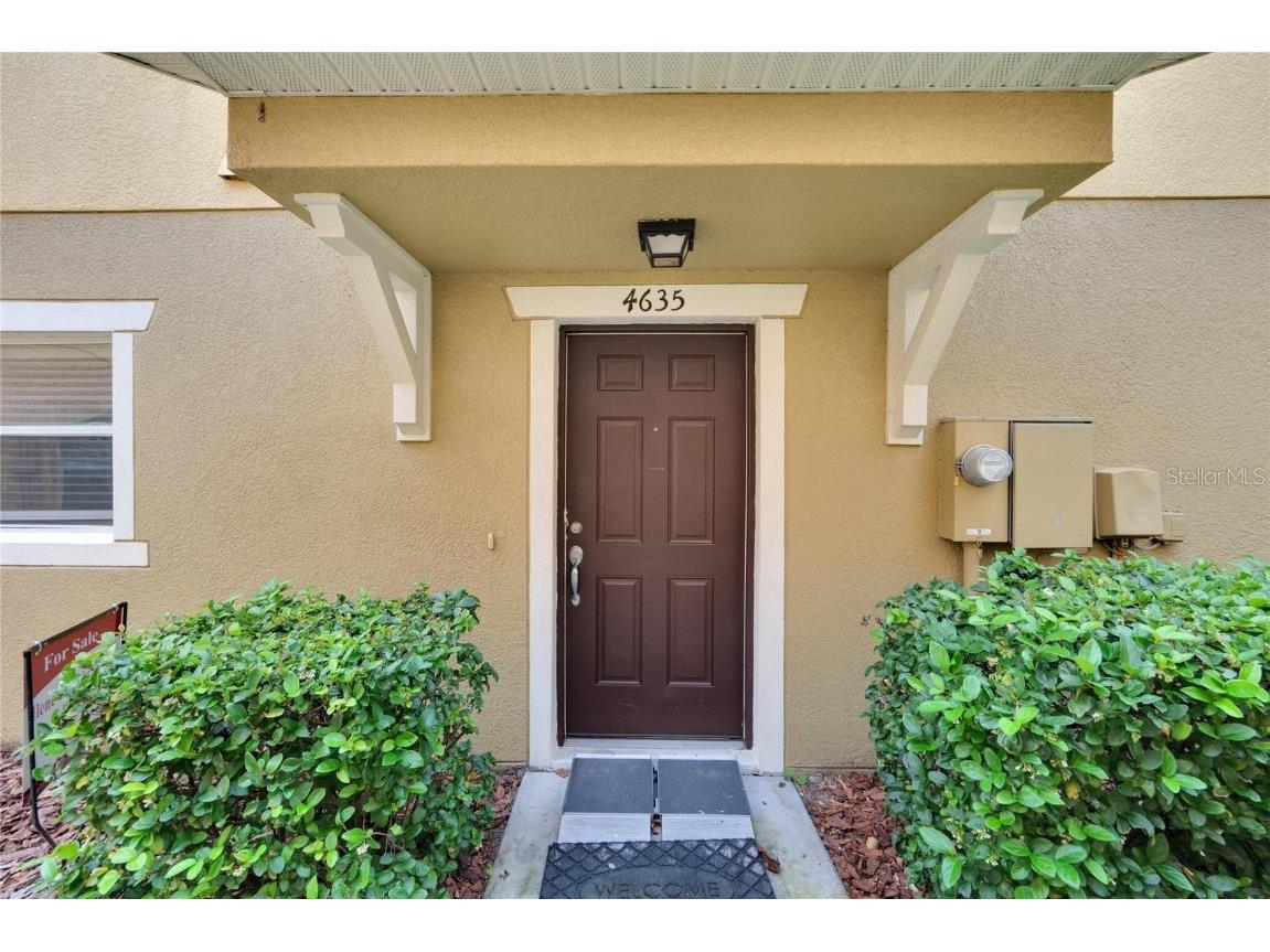 4635 Chatterton Way Riverview FL 33578 T3505359 image1