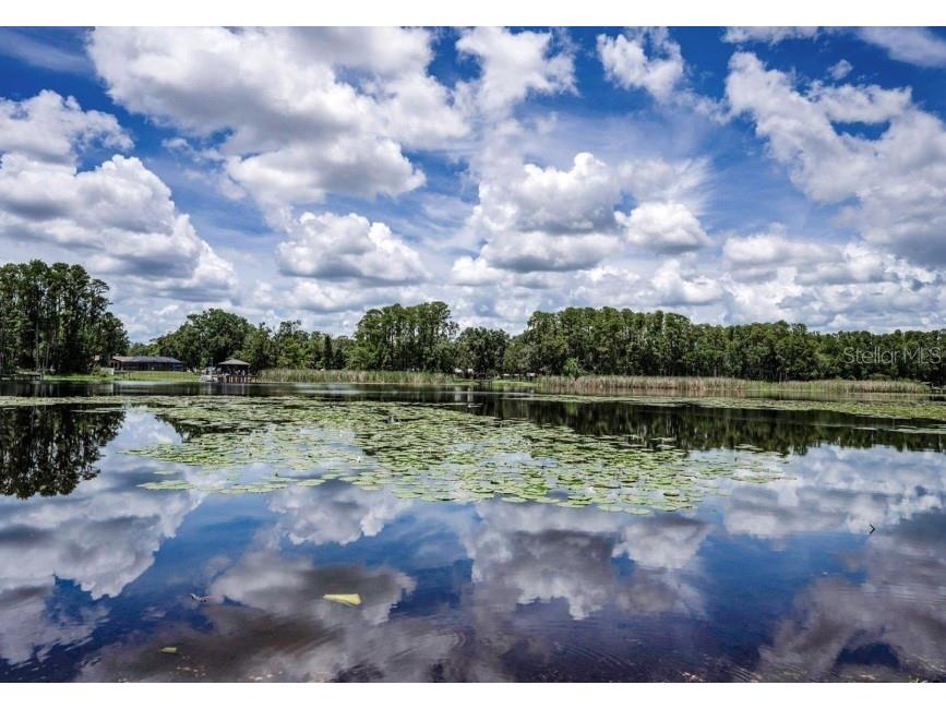 4635 Cobb Road Land O Lakes FL 34638 W7880899 image4