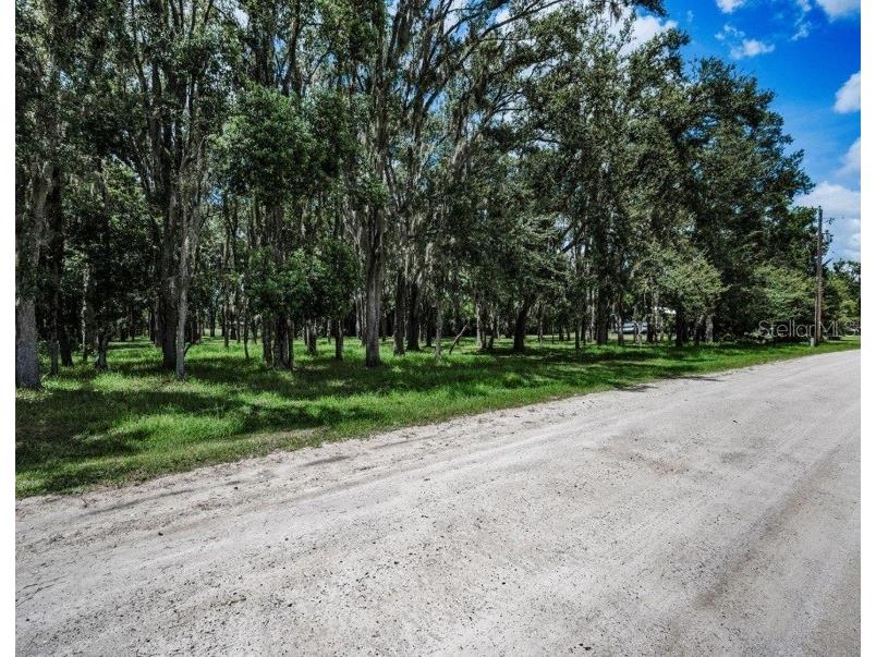 4635 Cobb Road Land O Lakes FL 34638 W7880899 image6