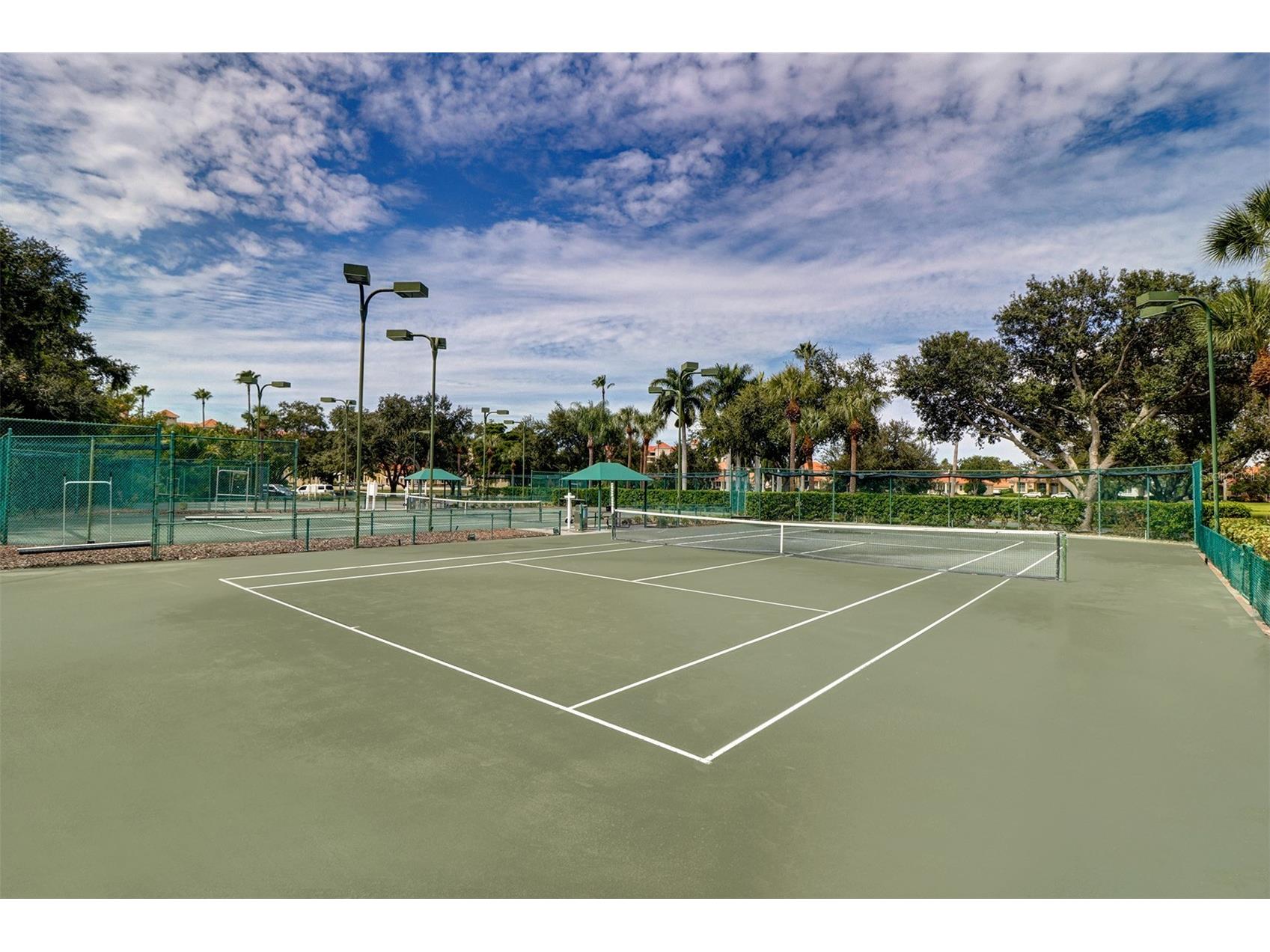 4635 Dolphin Cay Lane S Saint Petersburg FL 33711 - BOCA CIEGA BAY TB8467613 image41