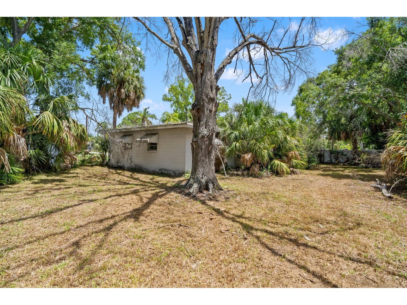 4635 W Bay Villa Avenue Tampa FL 33611 TB8529309 image10