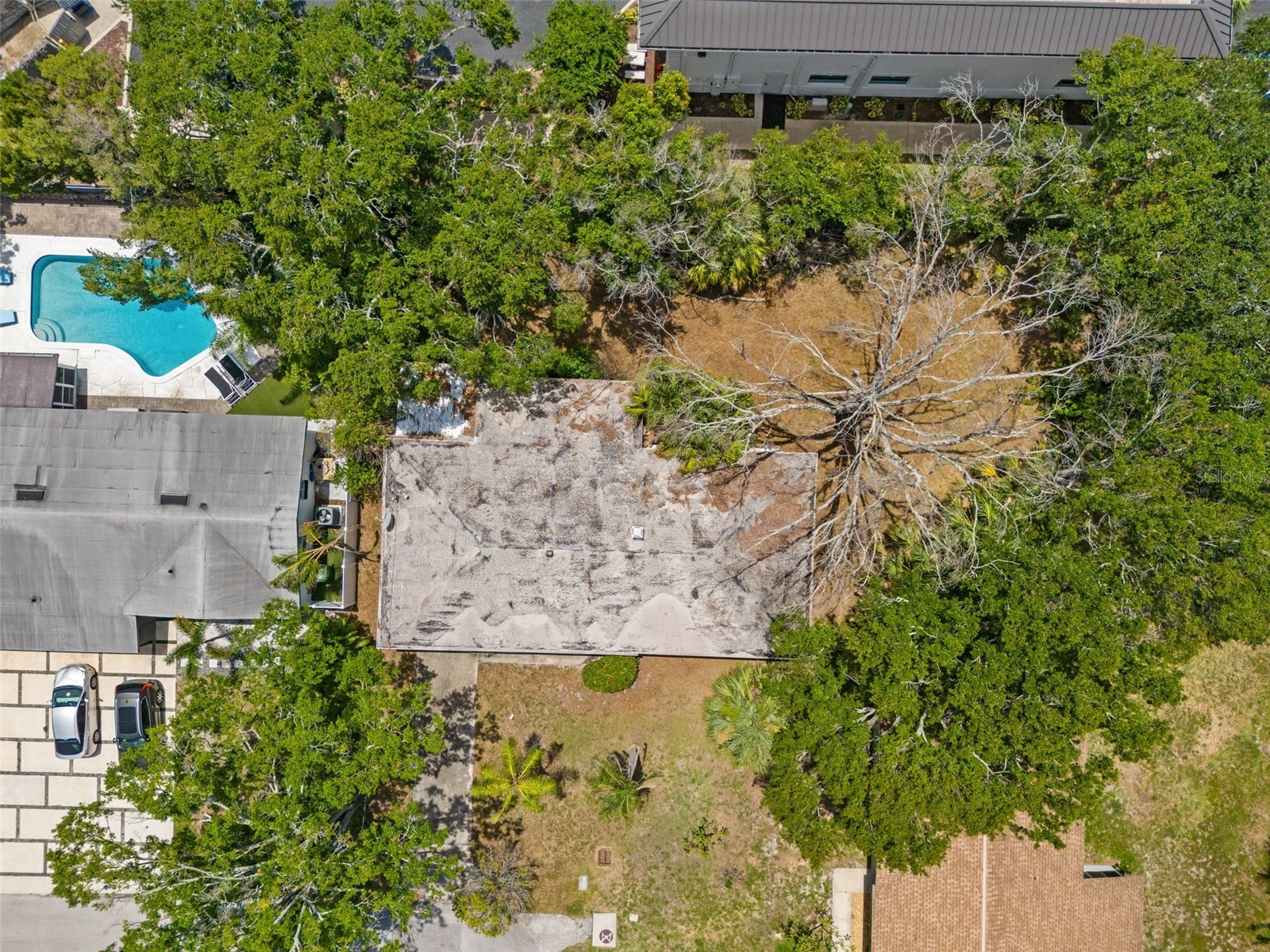 4635 W Bay Villa Avenue Tampa FL 33611 TB8529309 image15