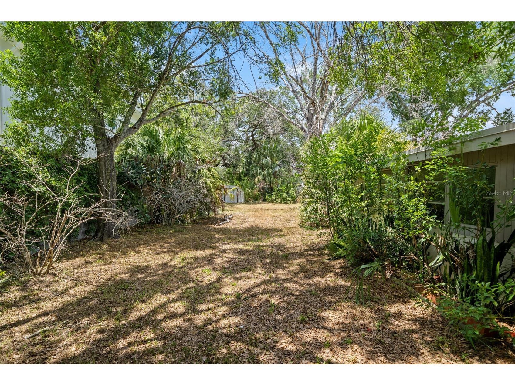 4635 W Bay Villa Avenue Tampa FL 33611 TB8529309 image8