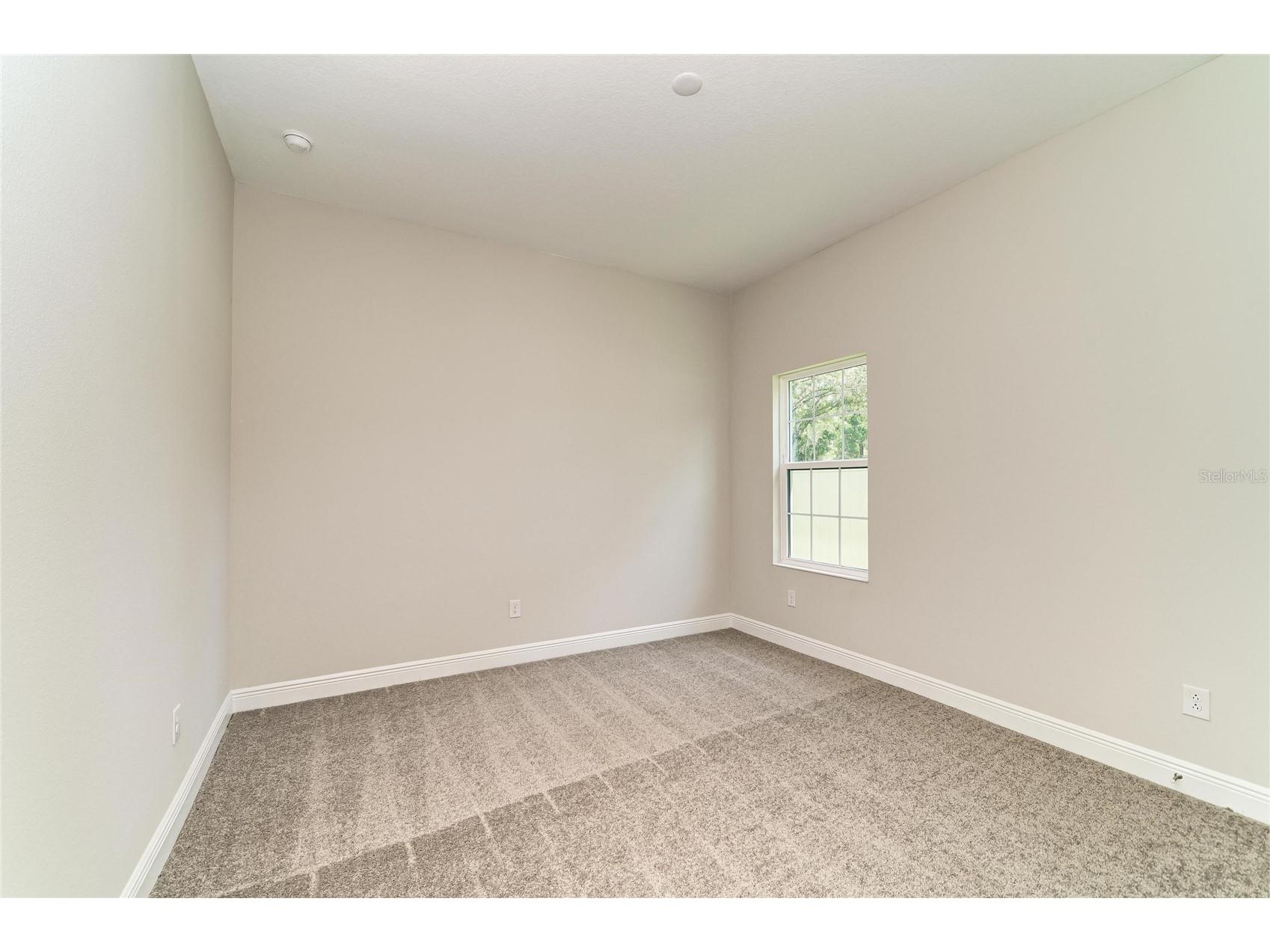 4636 Cedar Fog Ct Drive Valrico FL 33596 TB8471406 image27