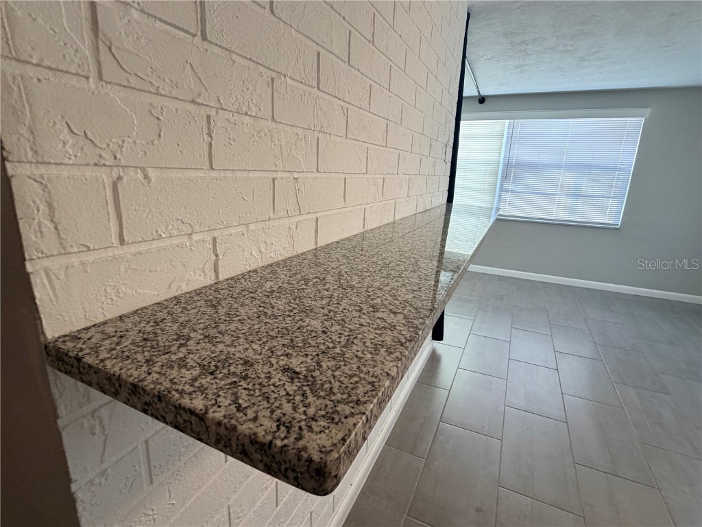 4636 Irene Loop #1 New Port Richey FL 34652 TB8446927 image6