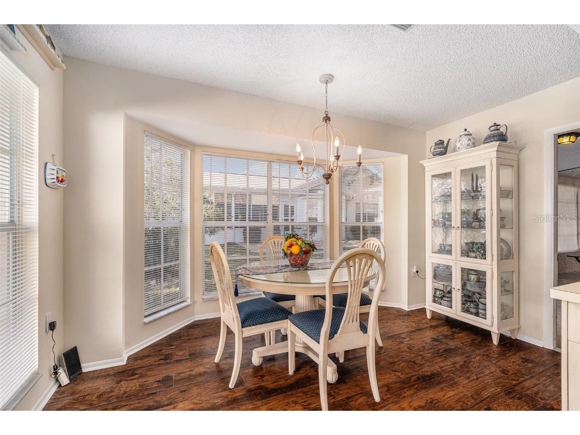 4636 Portland Manor Drive New Port Richey FL 34655 TB8450222 image15