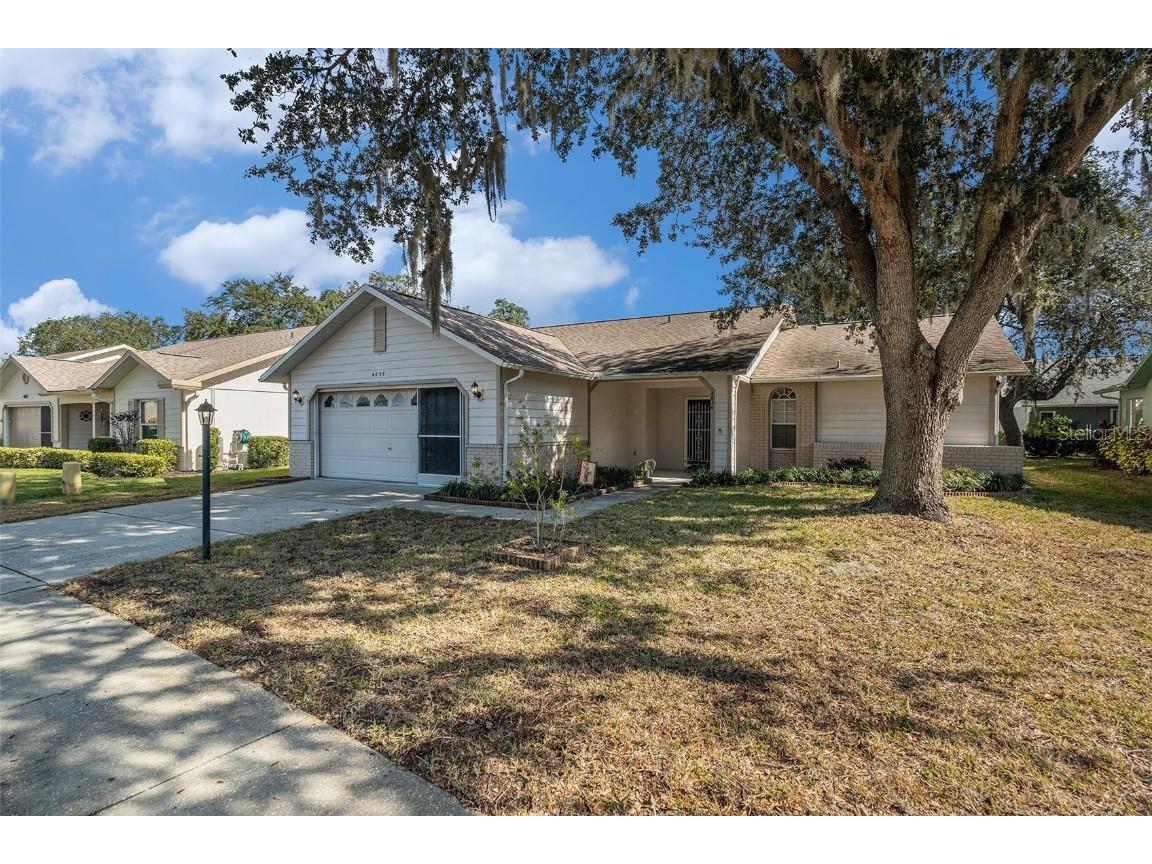 4636 Portland Manor Drive New Port Richey FL 34655 TB8450222 image4