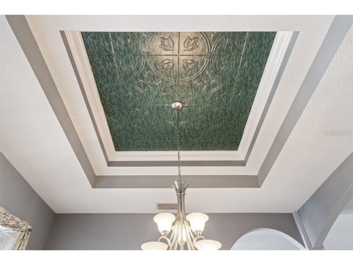 4636 W Knights Griffin Road Plant City FL 33565 O6366755 image15