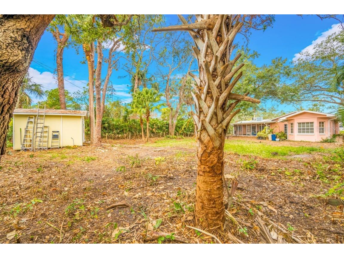 4636 W Longfellow Avenue Tampa FL 33629 TB8334516 image11