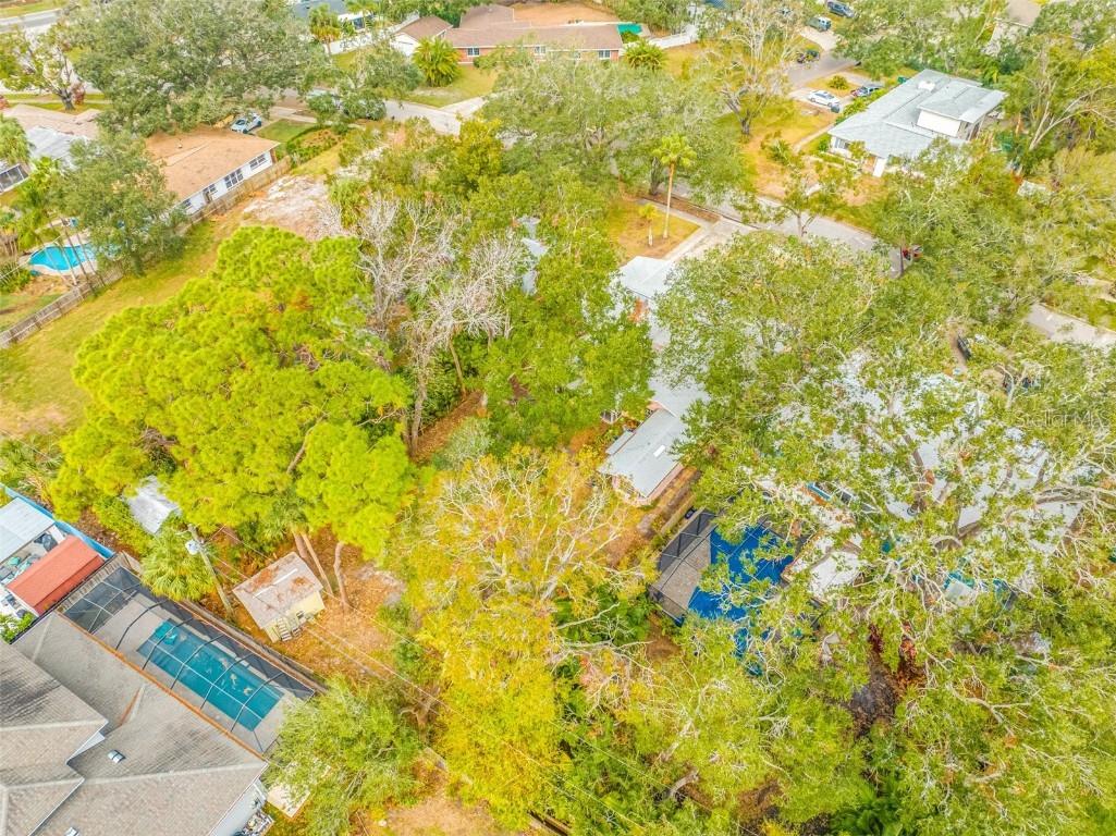 4636 W Longfellow Avenue Tampa FL 33629 TB8334516 image16