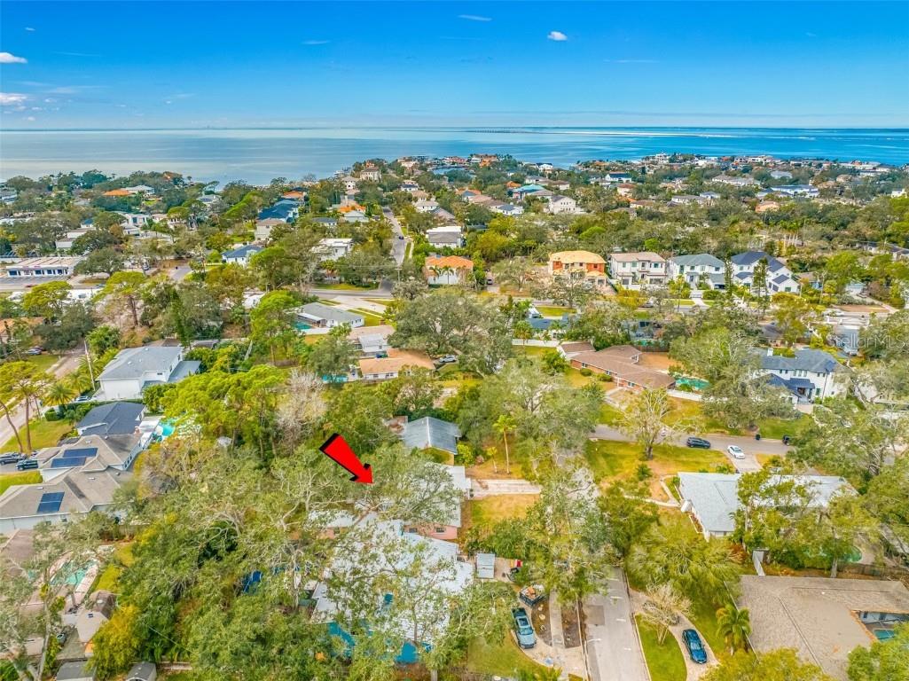 4636 W Longfellow Avenue Tampa FL 33629 TB8334516 image25