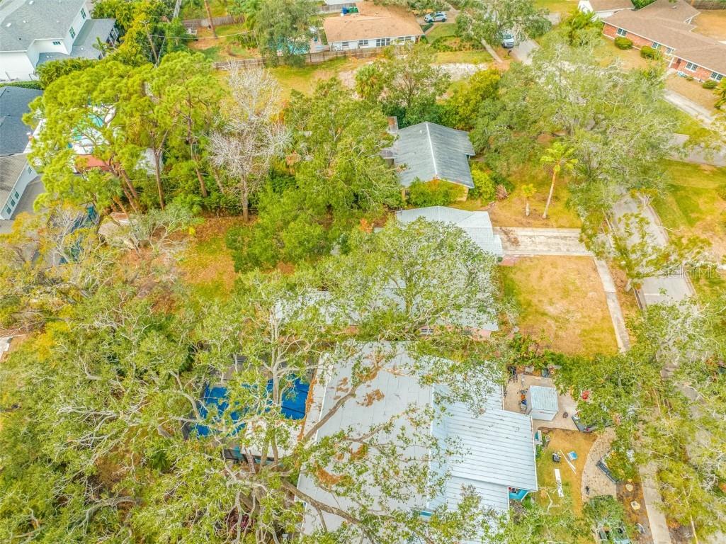 4636 W Longfellow Avenue Tampa FL 33629 TB8347222 image15