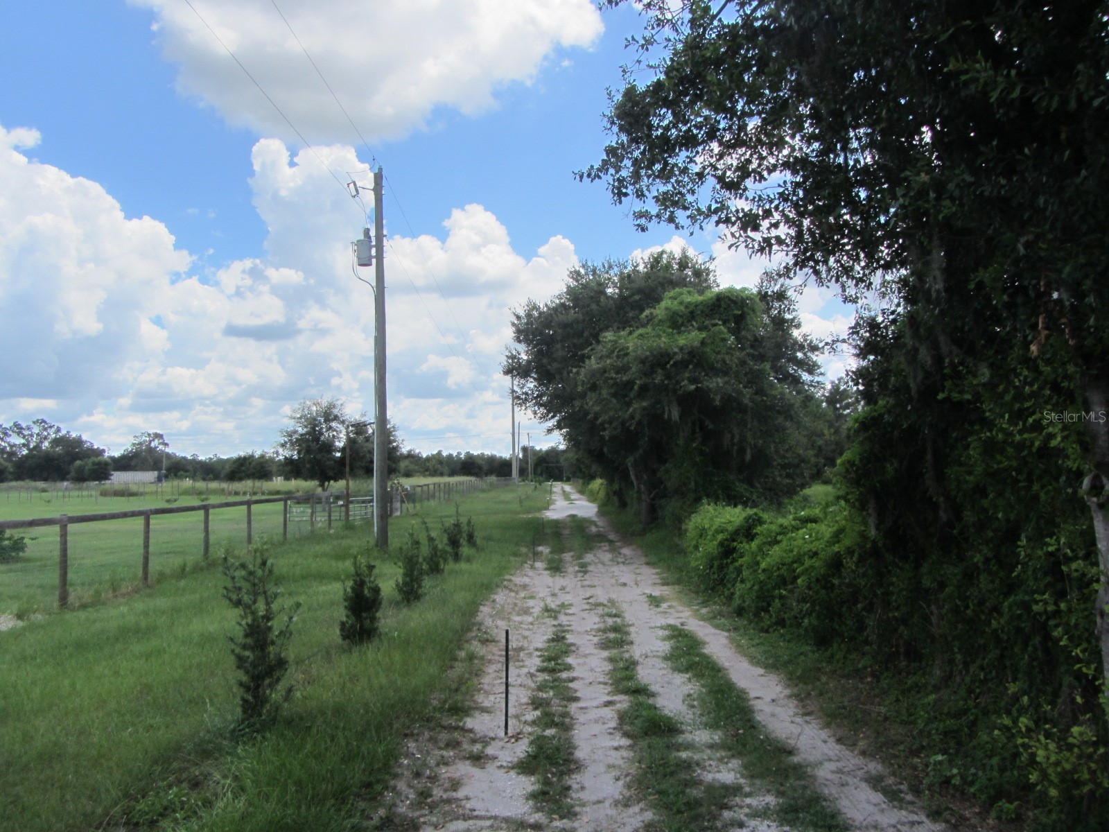 46365 State Road 64 E Myakka City FL 34251 A4691472 image29