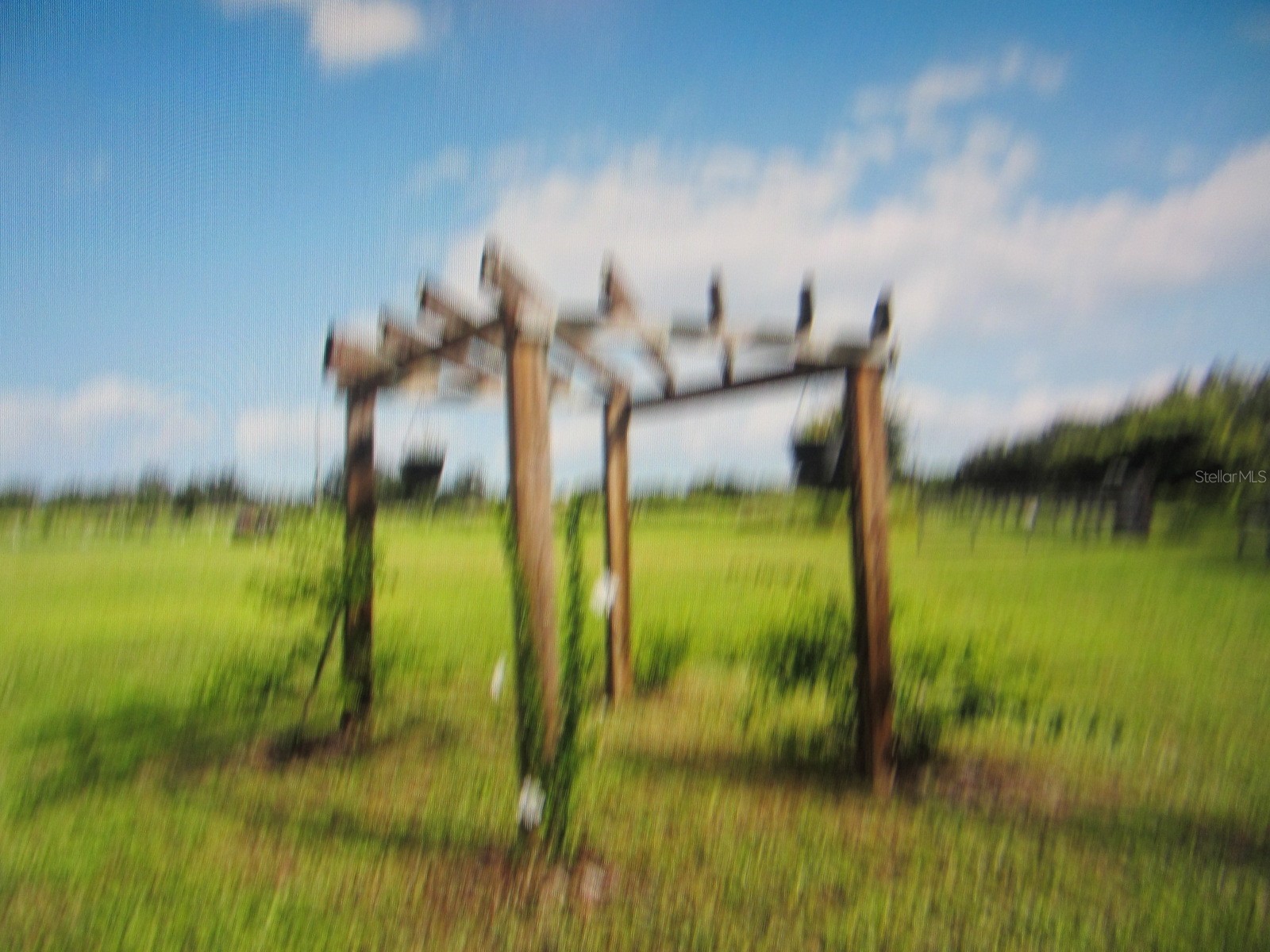 46365 State Road 64 E Myakka City FL 34251 A4691472 image40