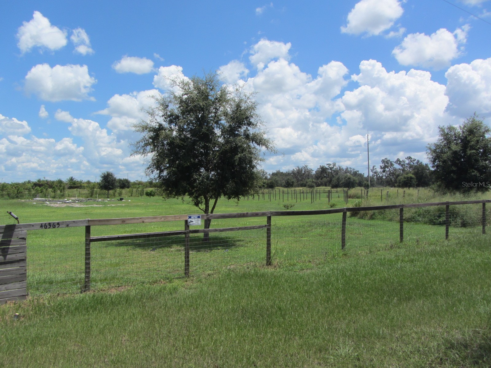 46365 State Road 64 E Myakka City FL 34251 A4691472 image41