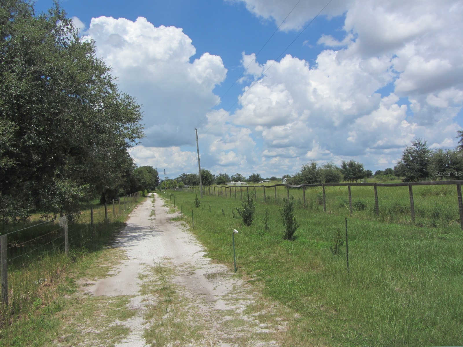 46365 State Road 64 E Myakka City FL 34251 A4691472 image45